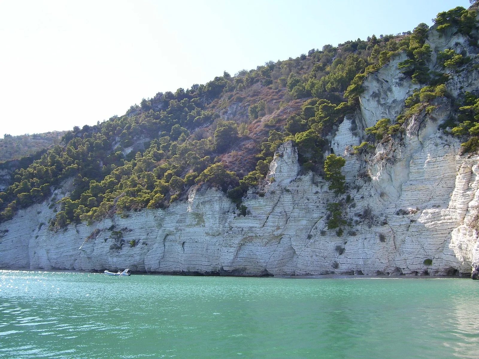 I faggi secolari della Foresta Umbra, nel cuore del Parco Nazionale del Gargano.