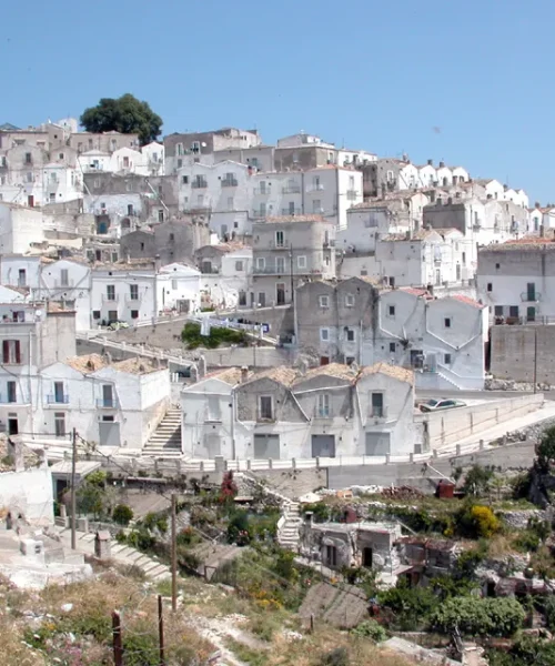 mattinata_2